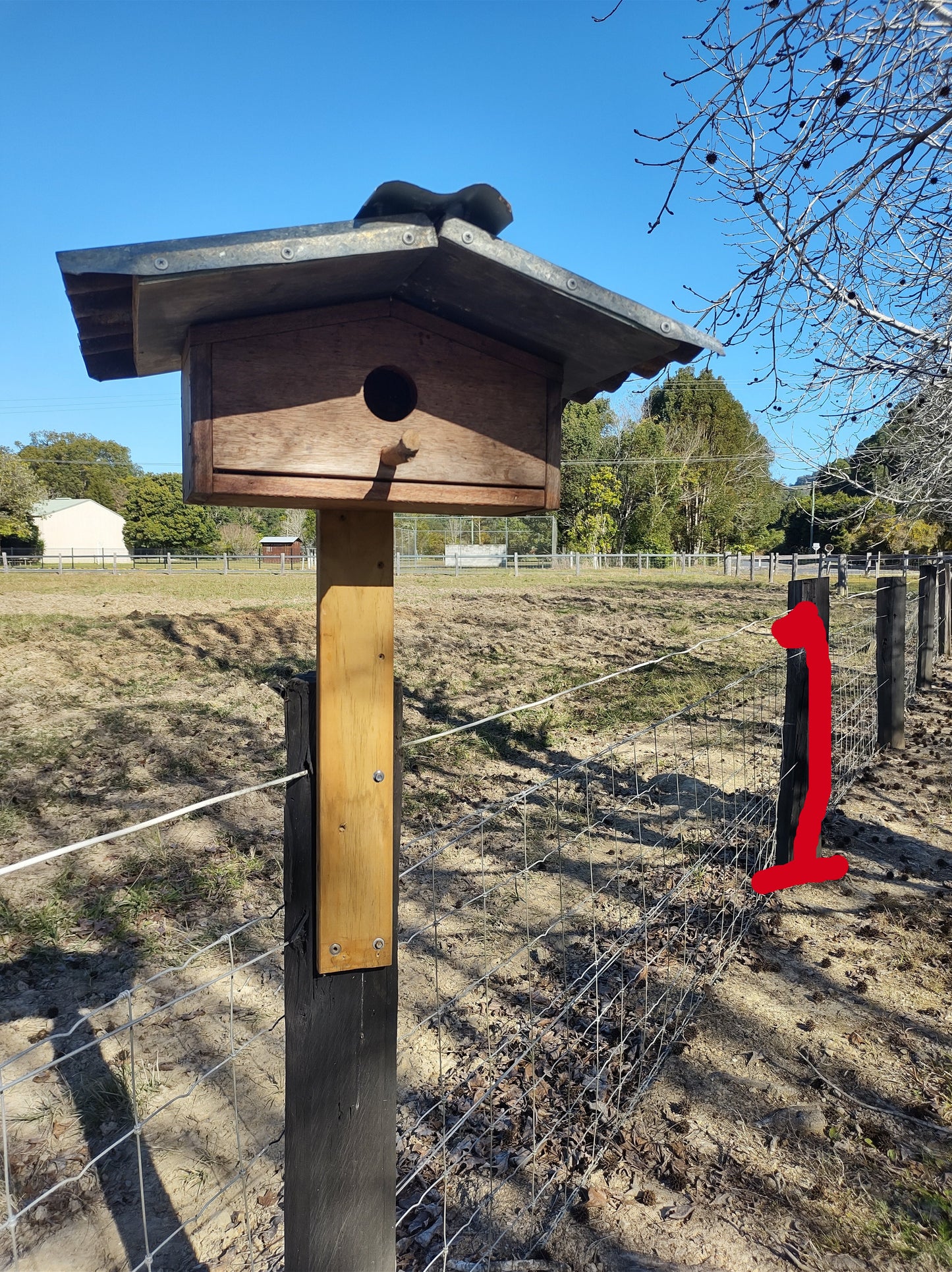 Bird box - Design 5.