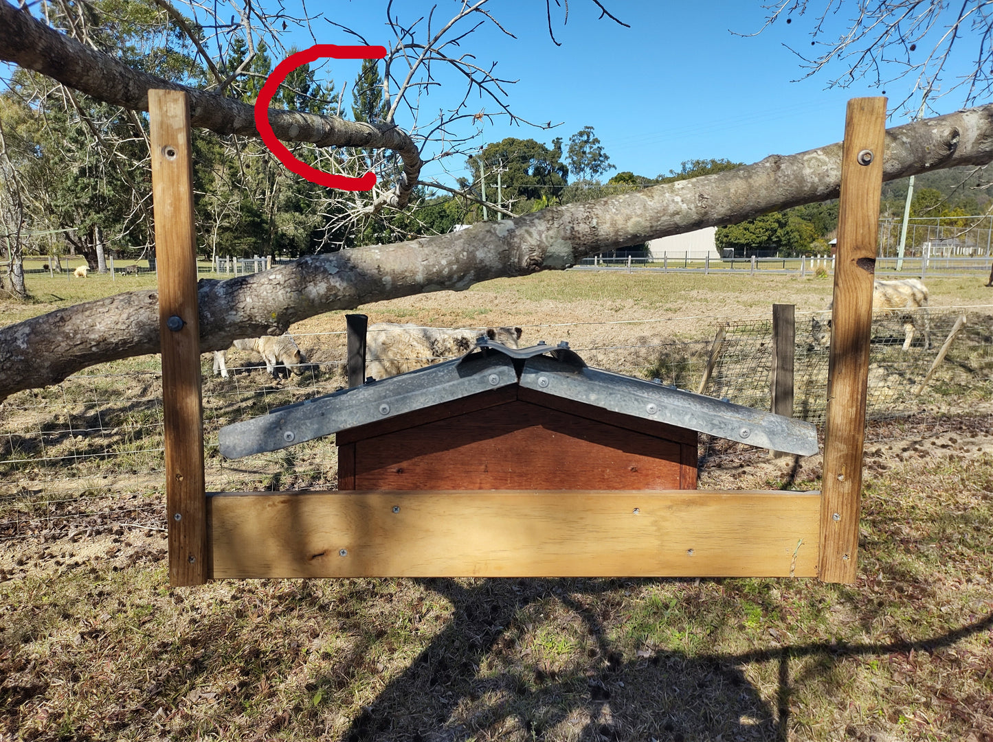 Bird box - Design 5.