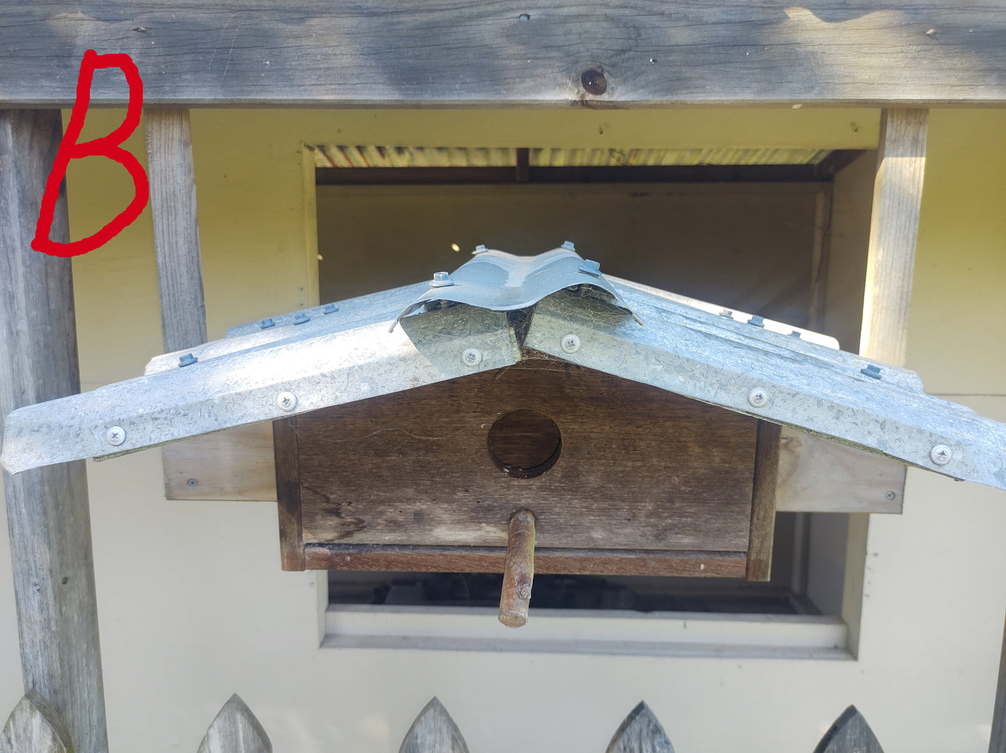 Bird box - Design 5.