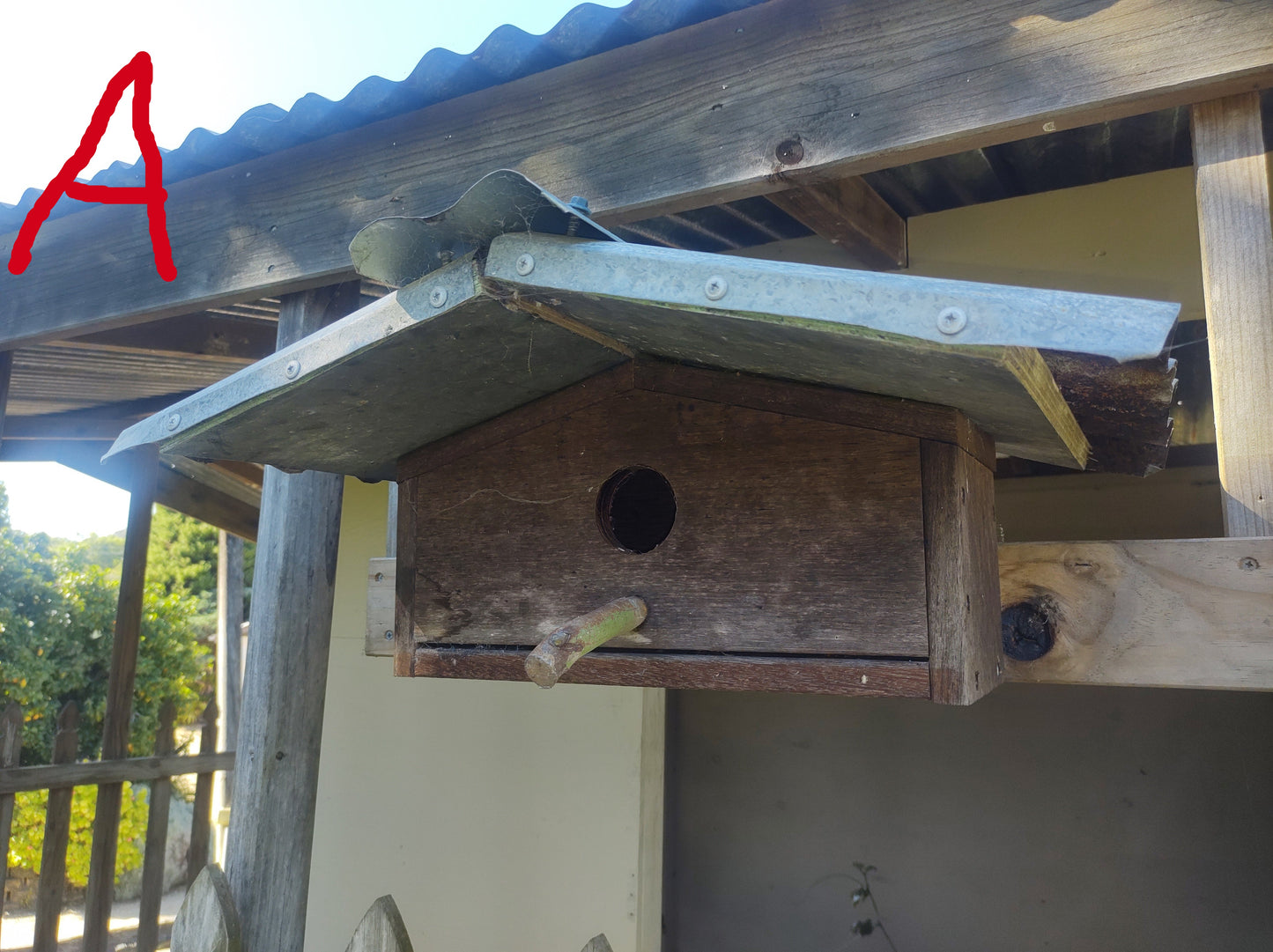 Bird box - Design 5.