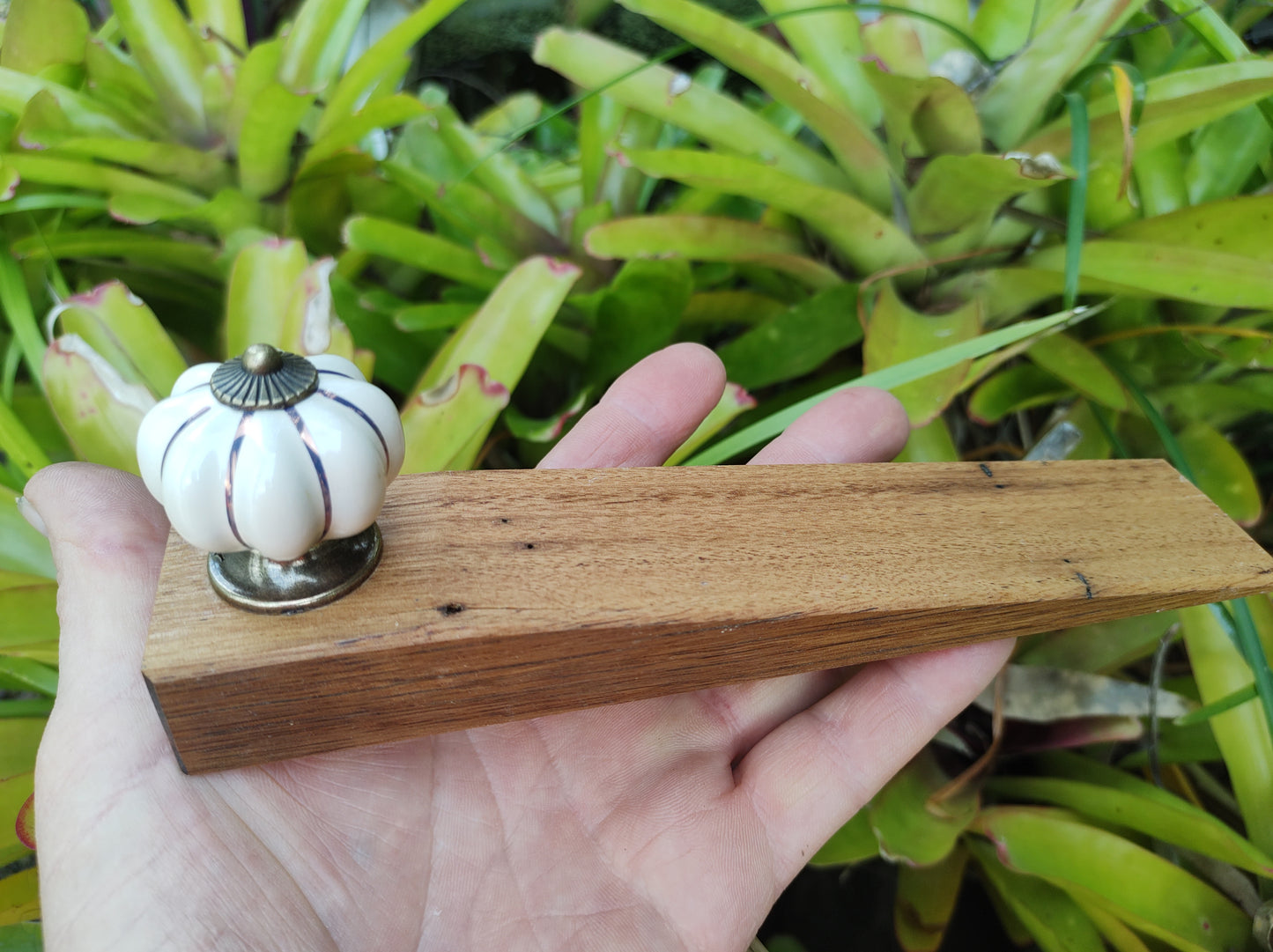 Door Stop, Blonde timber, Cream knob with Gold flutes