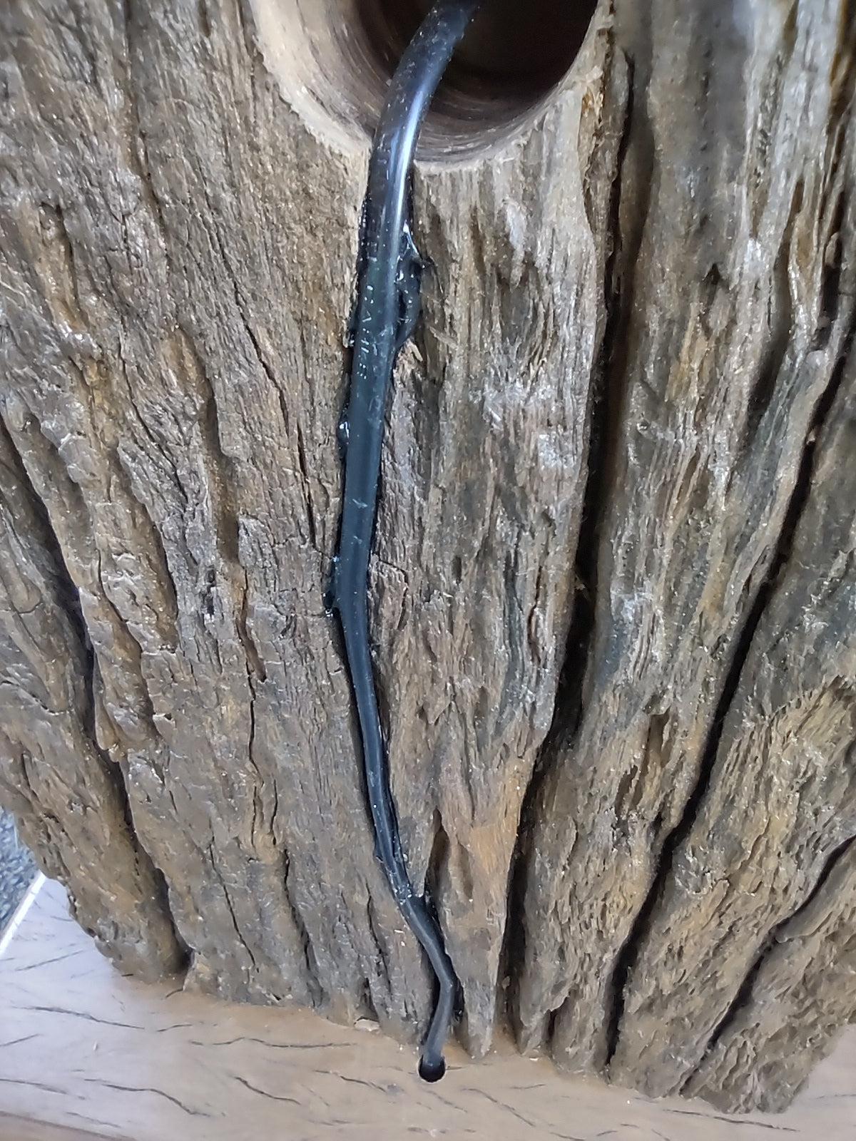 Table lamp - Termite magic.