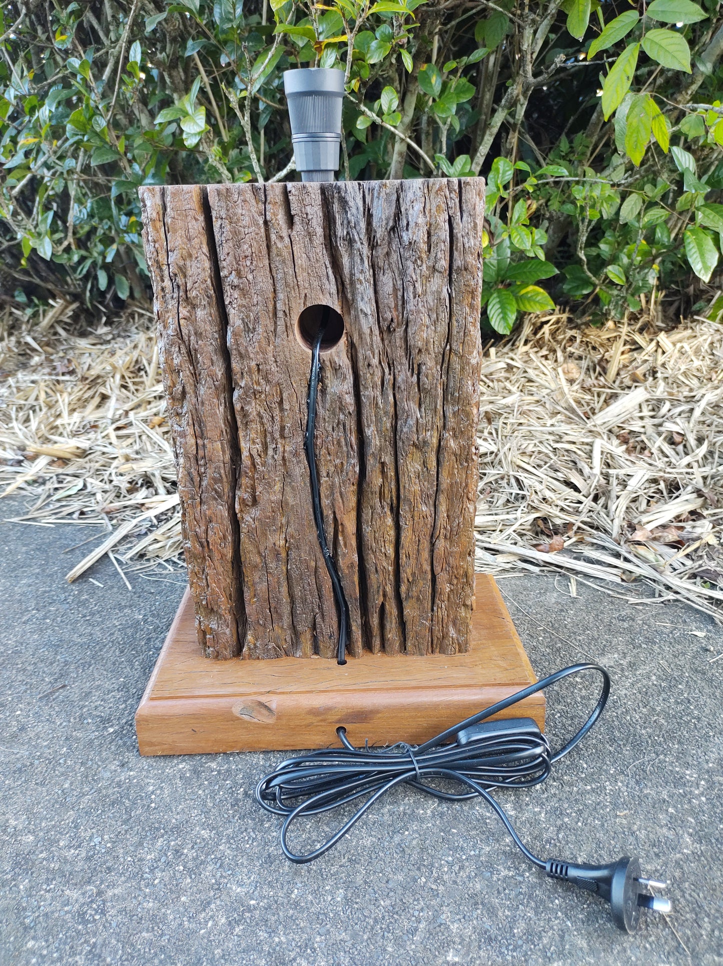 Table lamp - Termite magic.