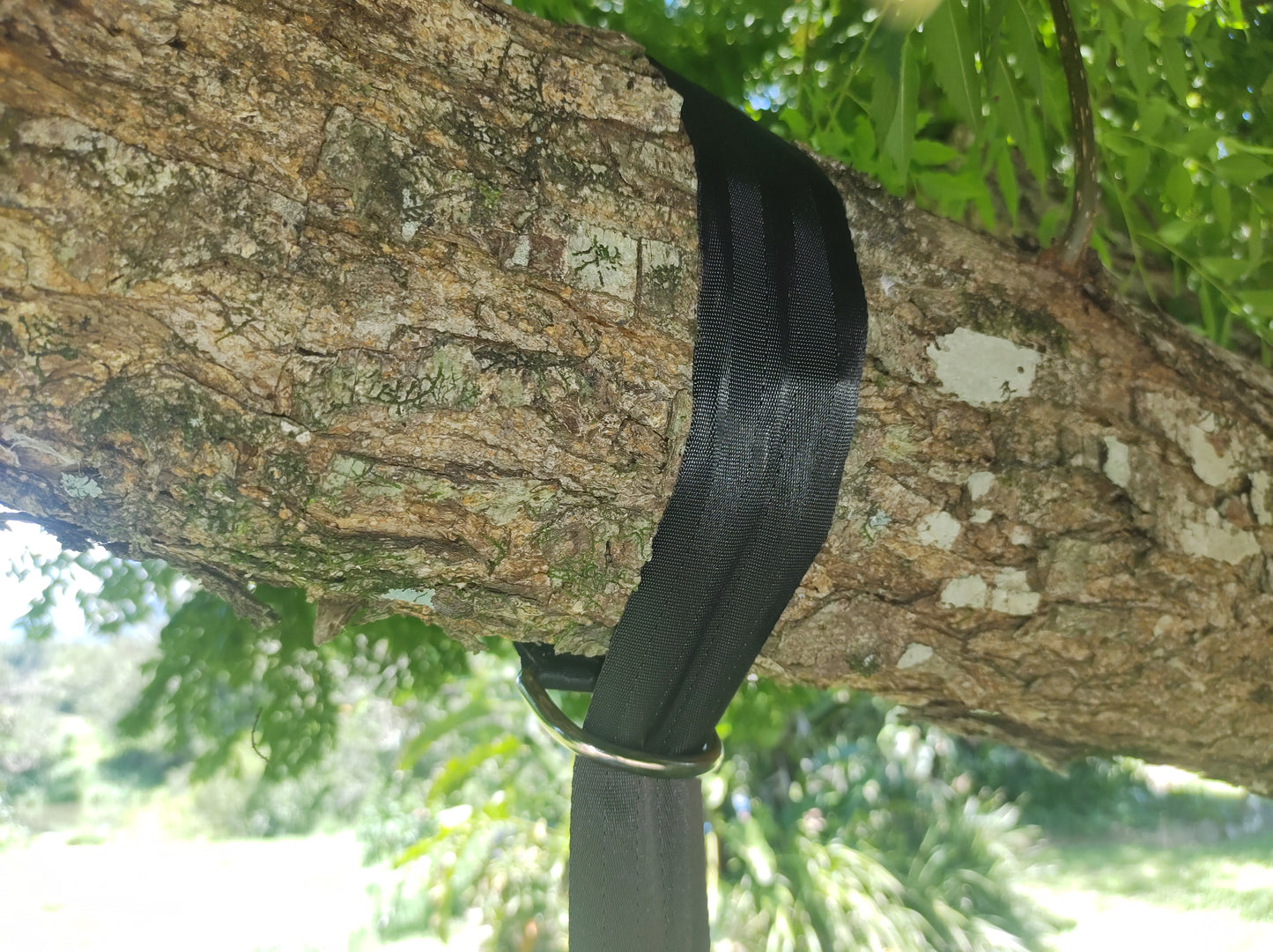 Rope Swing - Round