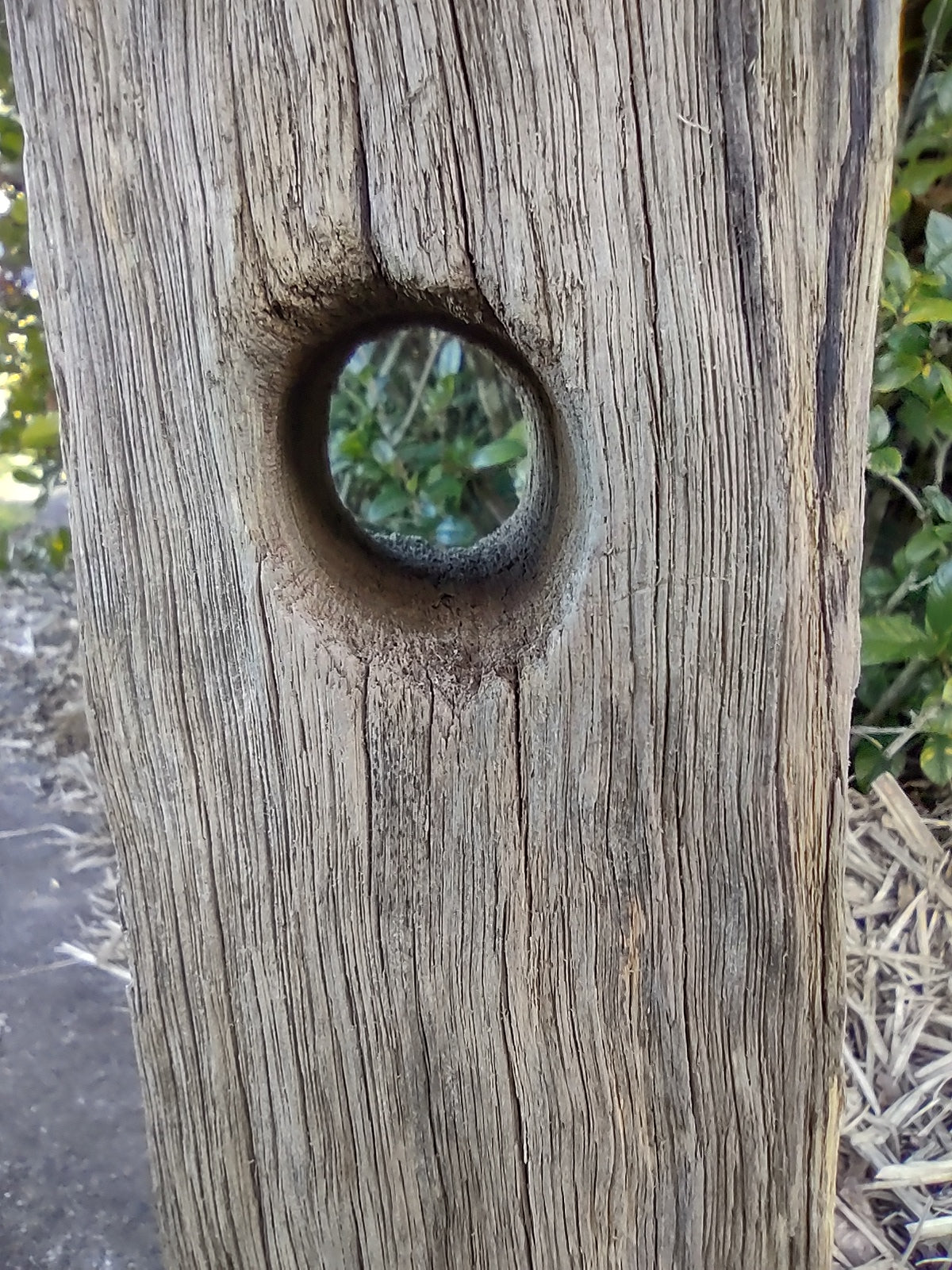 Floor lamp - 1/2 height fence post