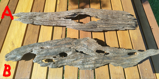 Driftwood - Wall decorations