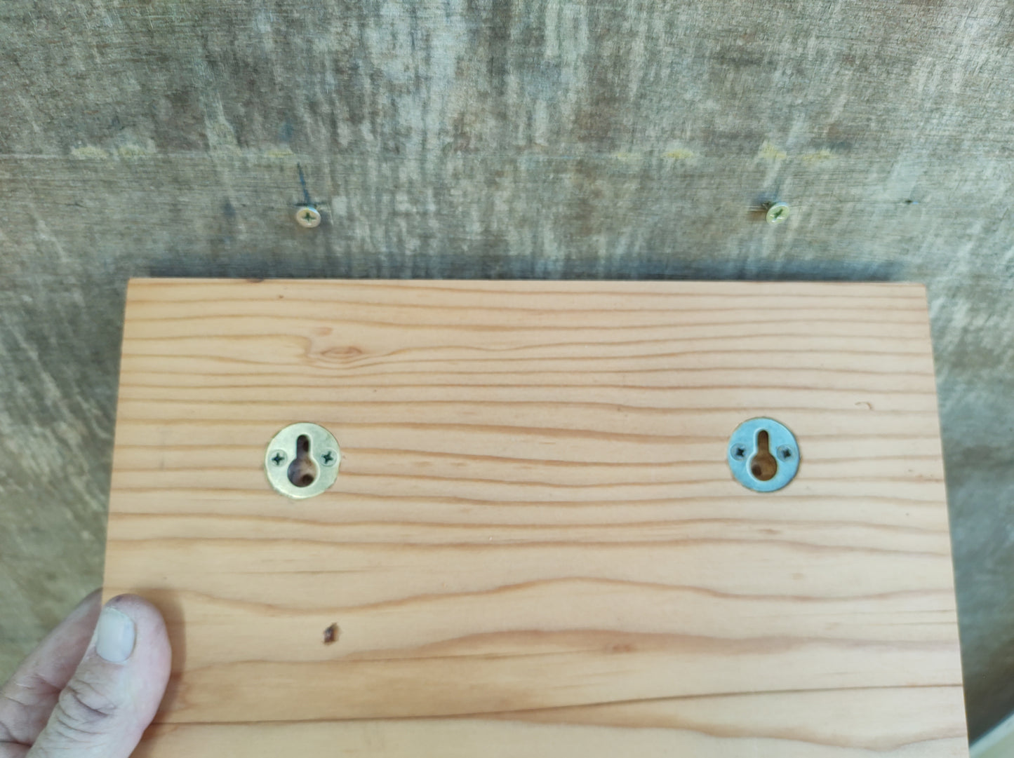 Coat hook board - Cat shape.