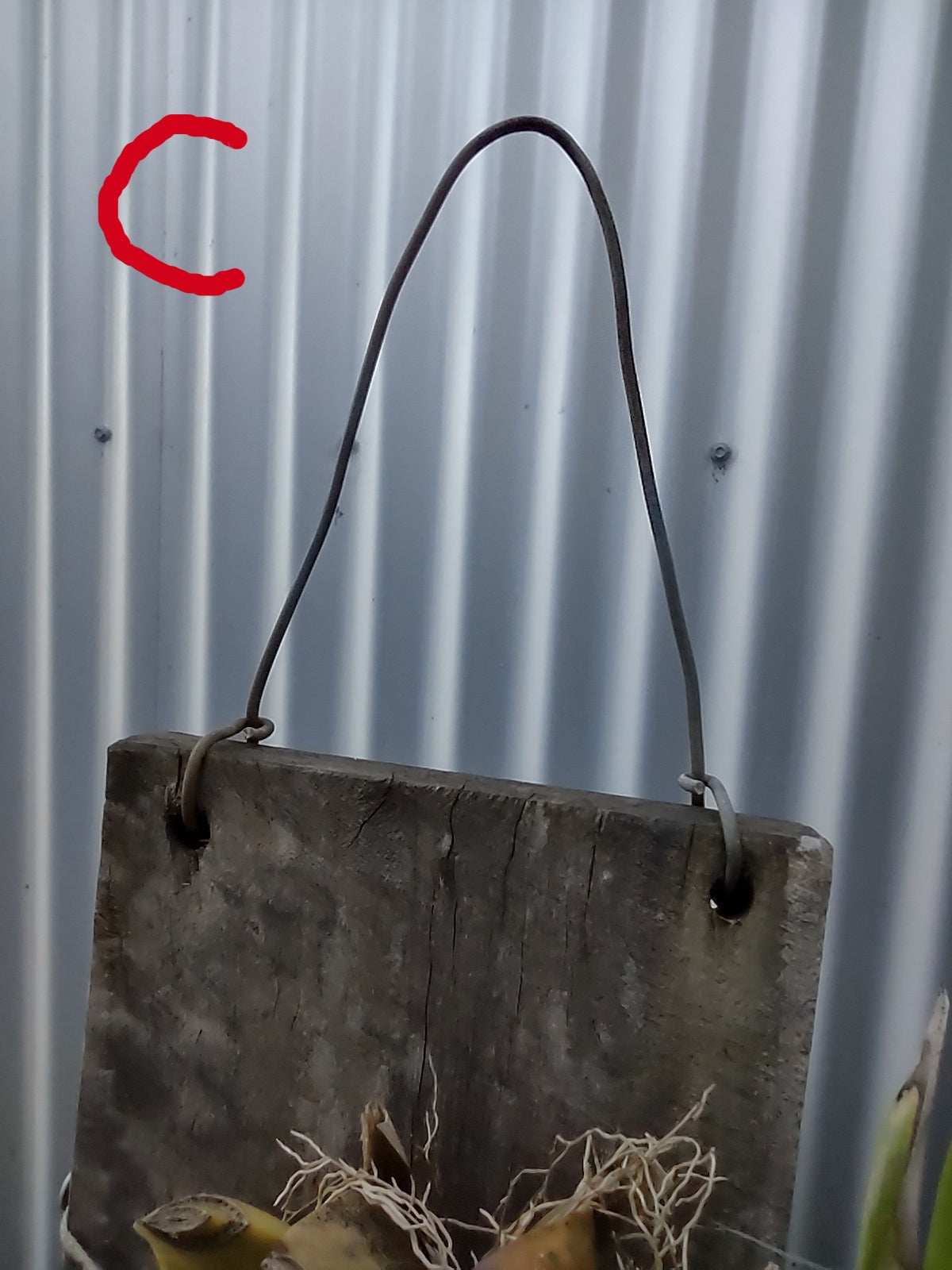 Plant mounting boards.