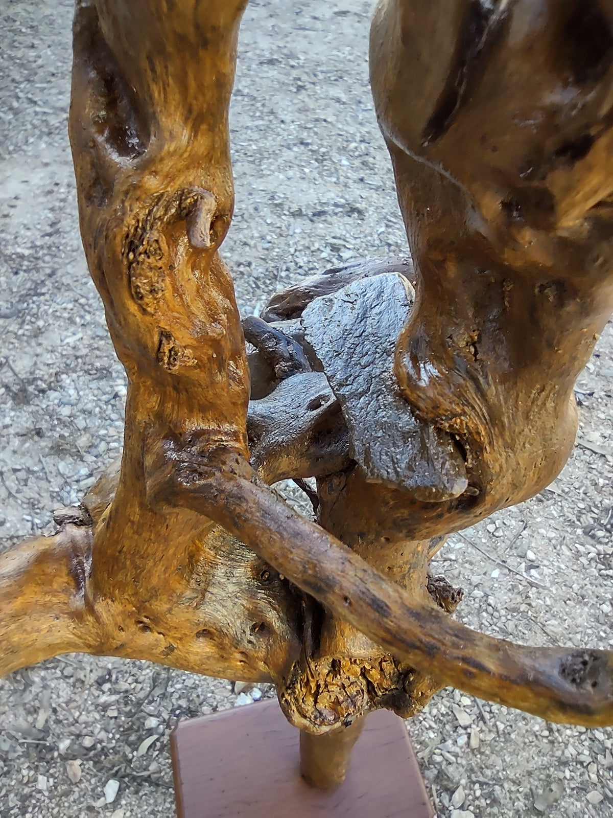 Sculpture - Tree root with embedded rocks