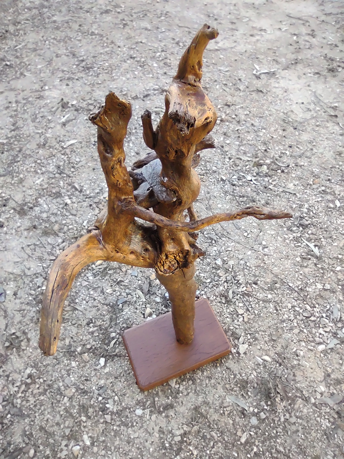 Sculpture - Tree root with embedded rocks