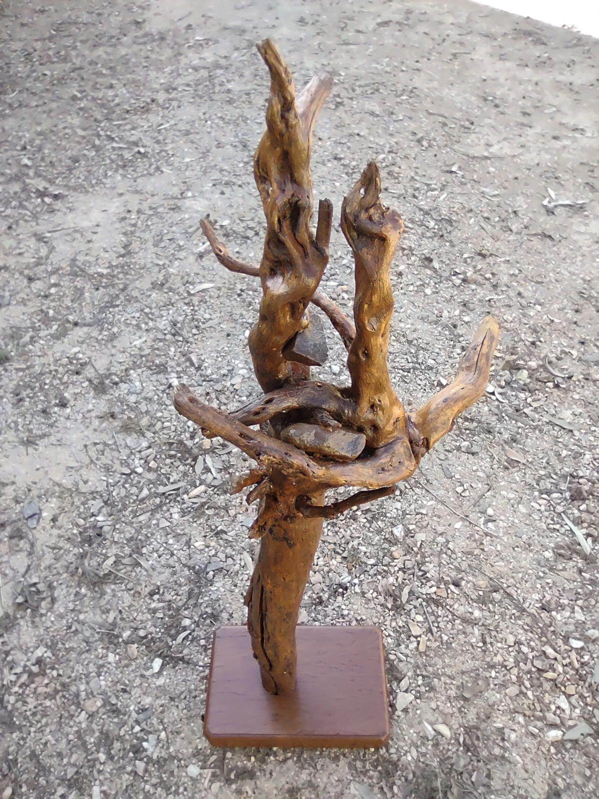 Sculpture - Tree root with embedded rocks