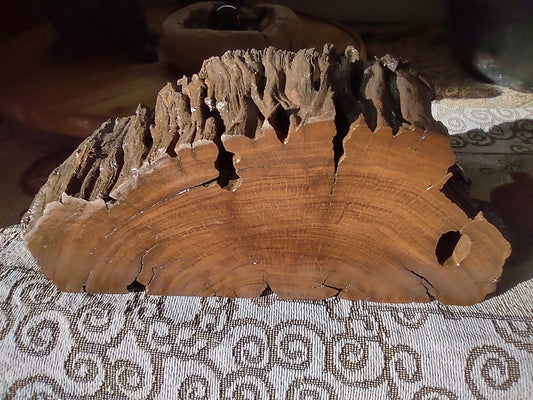 Timber Ornament - Termite Magic